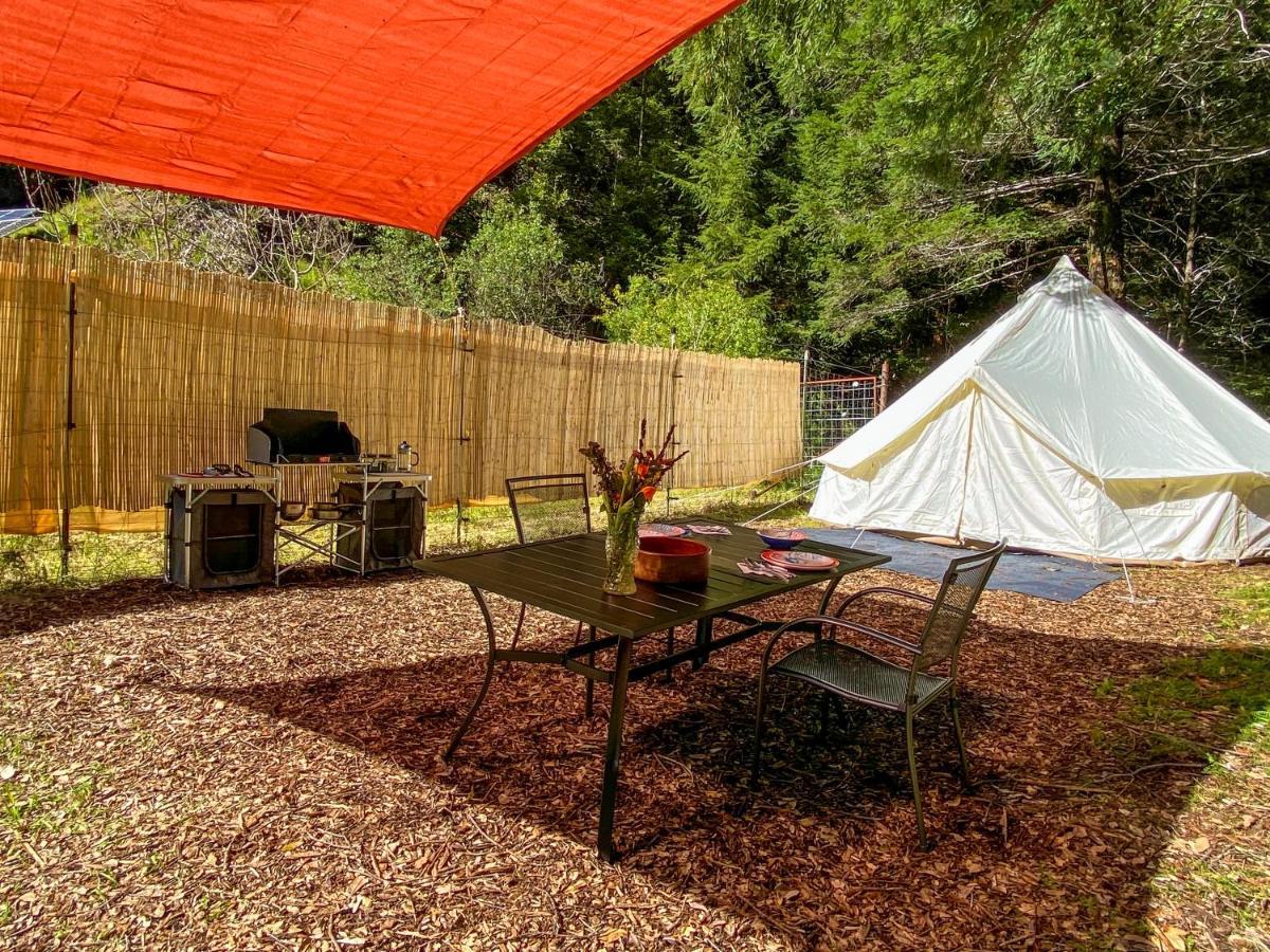 Glamping In The Redwoods With A Hot Tub! Hotel Garberville Bagian luar foto