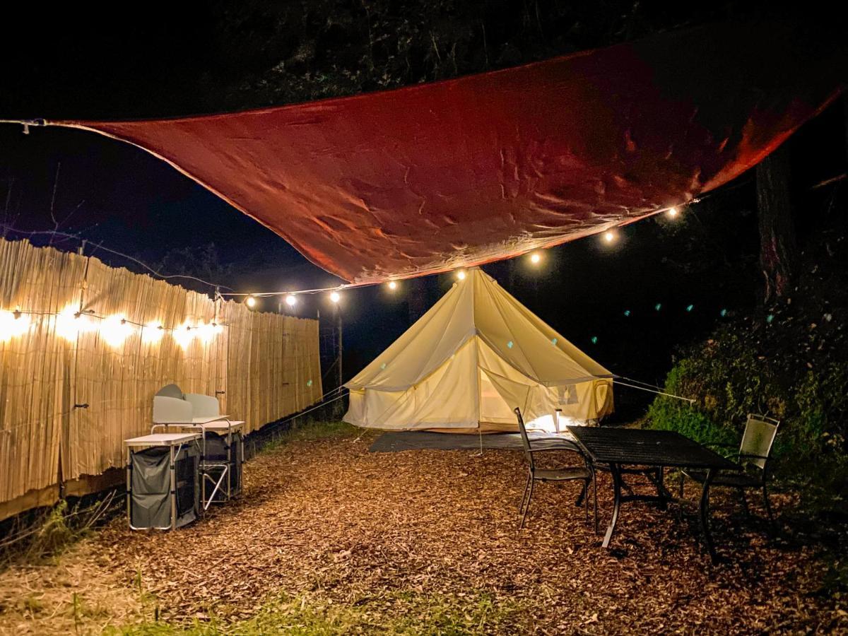 Glamping In The Redwoods With A Hot Tub! Hotel Garberville Bagian luar foto
