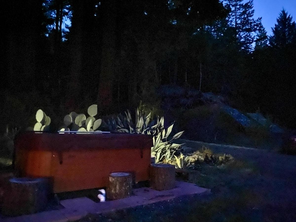 Glamping In The Redwoods With A Hot Tub! Hotel Garberville Bagian luar foto