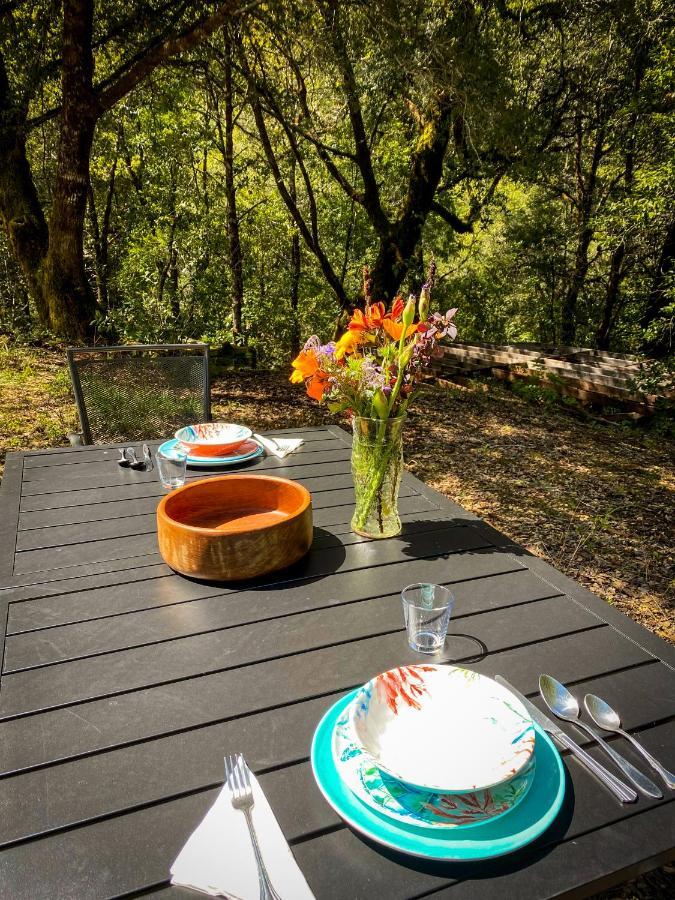 Glamping In The Redwoods With A Hot Tub! Hotel Garberville Bagian luar foto