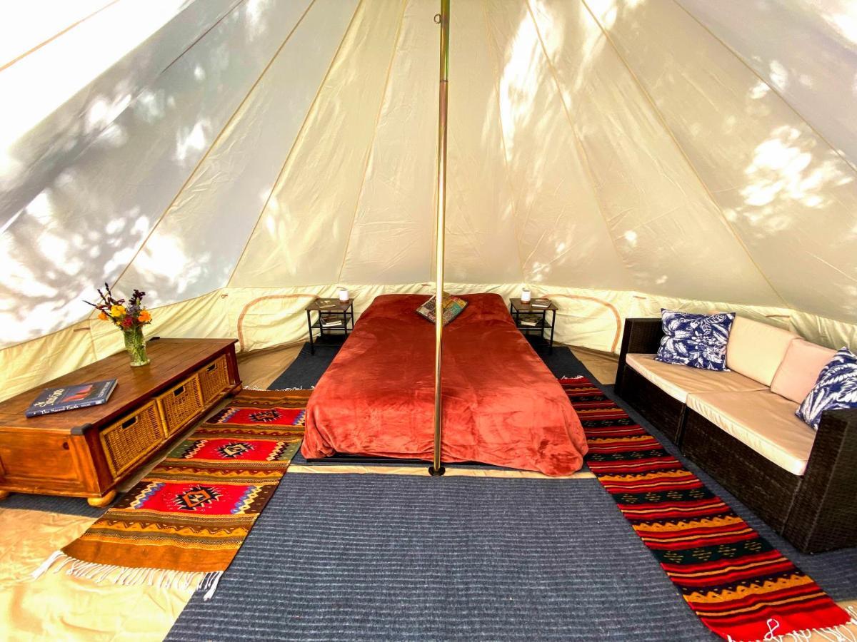Glamping In The Redwoods With A Hot Tub! Hotel Garberville Bagian luar foto