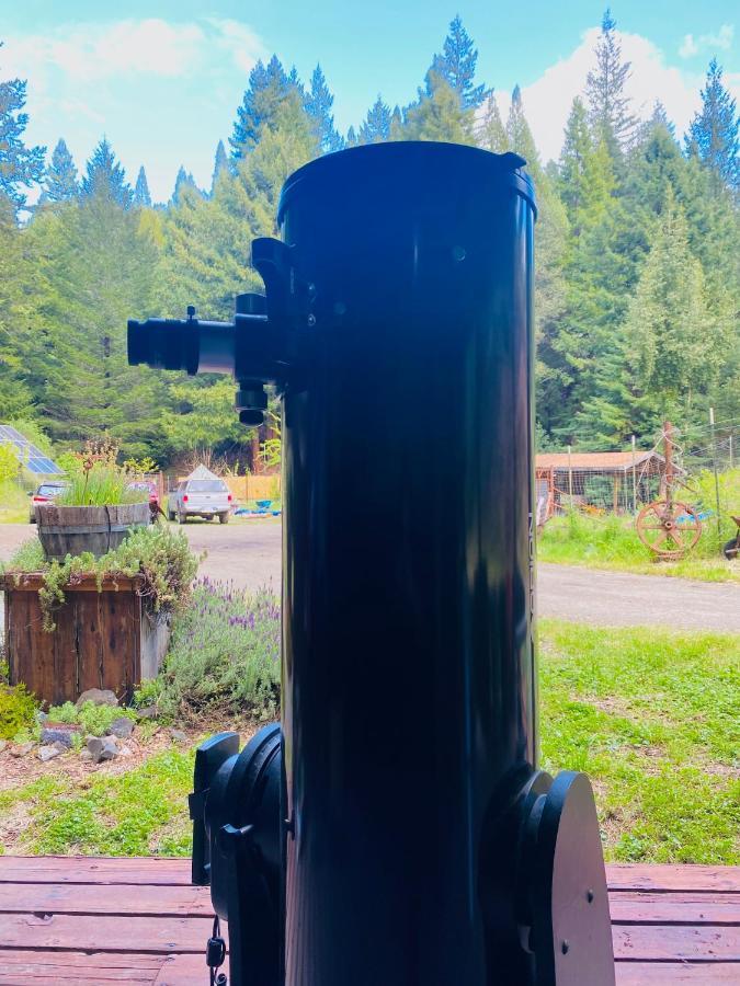 Glamping In The Redwoods With A Hot Tub! Hotel Garberville Bagian luar foto